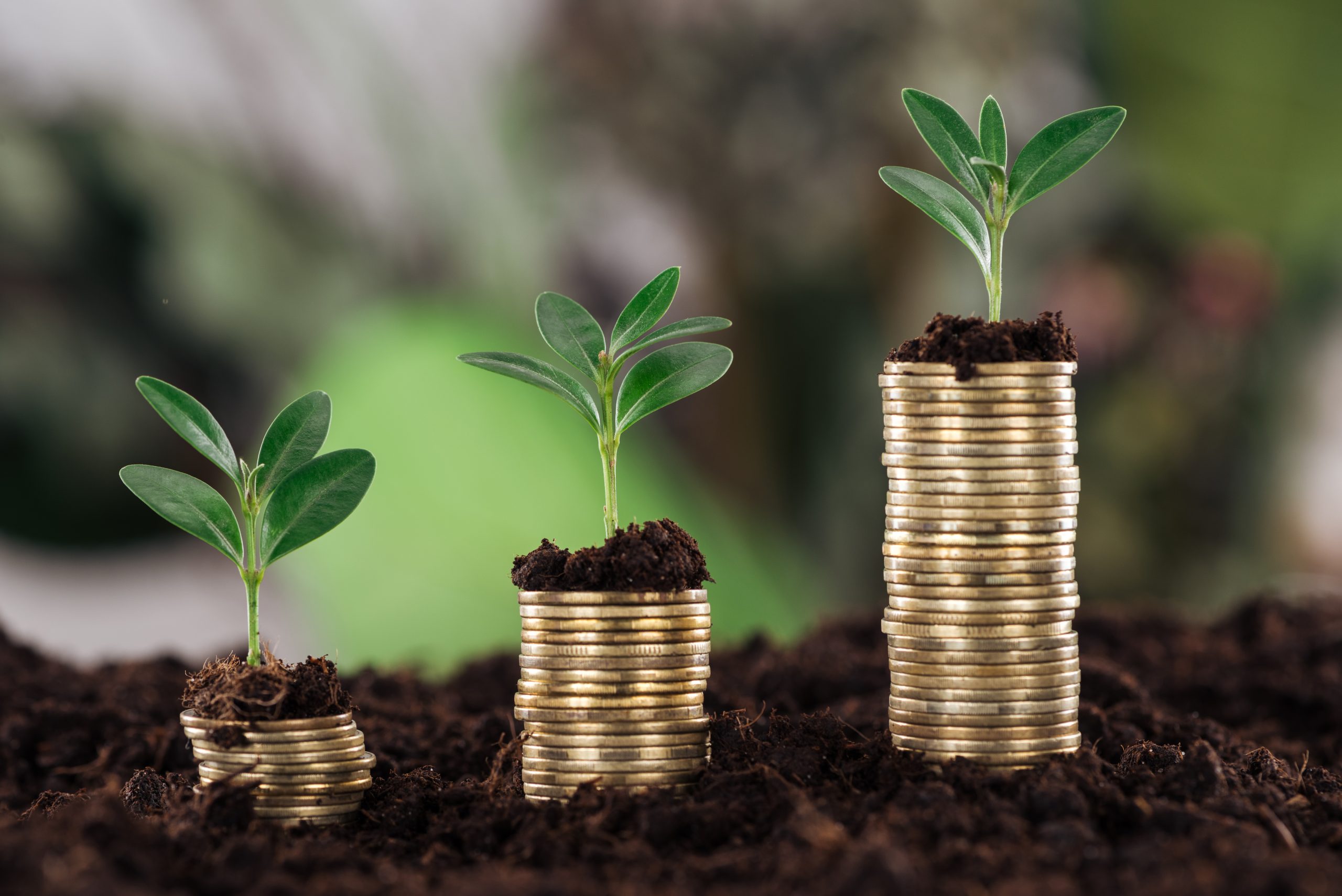 Super Development Loan